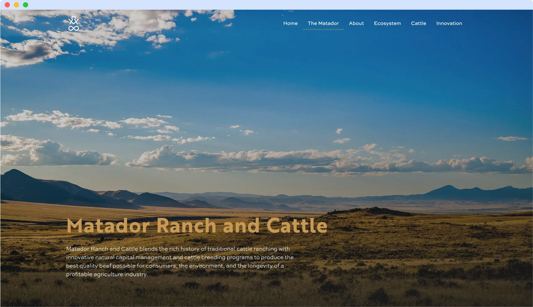 Montana Cow-Calf Operation
